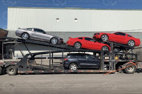 Car Hauler Transporting Mustangs