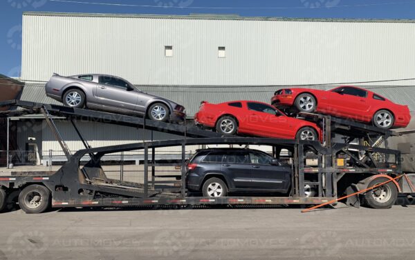 Car Hauler Transporting Mustangs