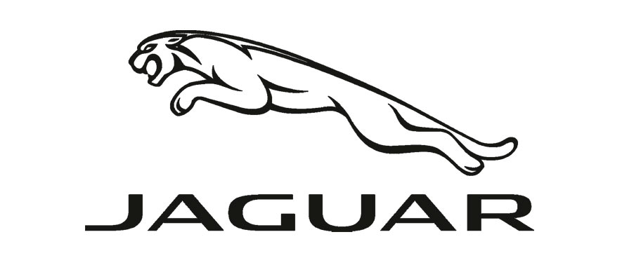 Jaguar Jaguar